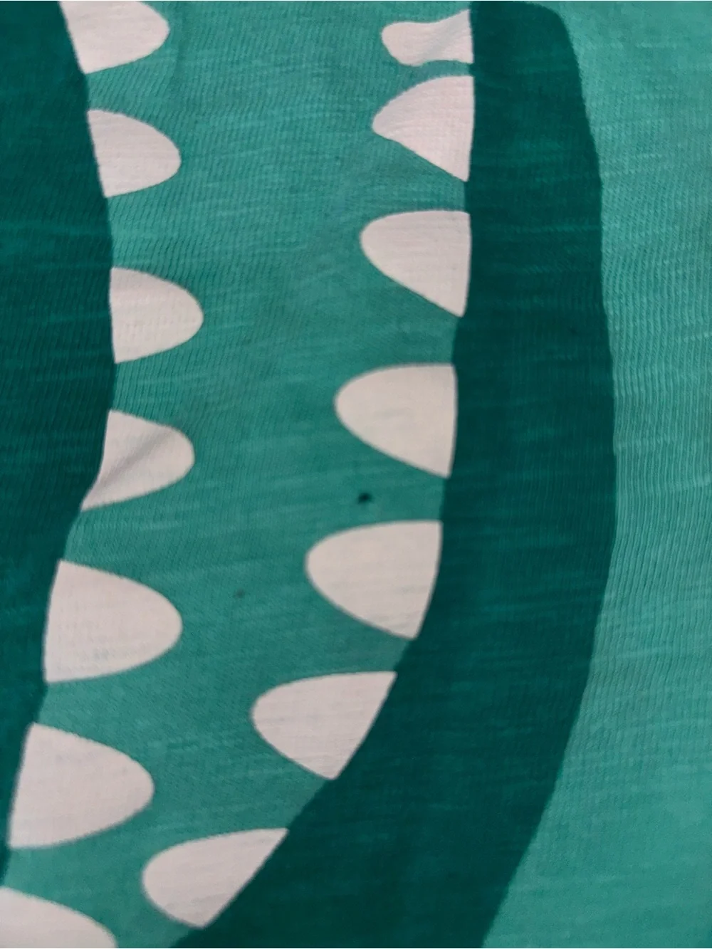 Carter's Teal Crocodile and Cat and Jack Say Cheese Shark Shirts 2T Boys TShirts
